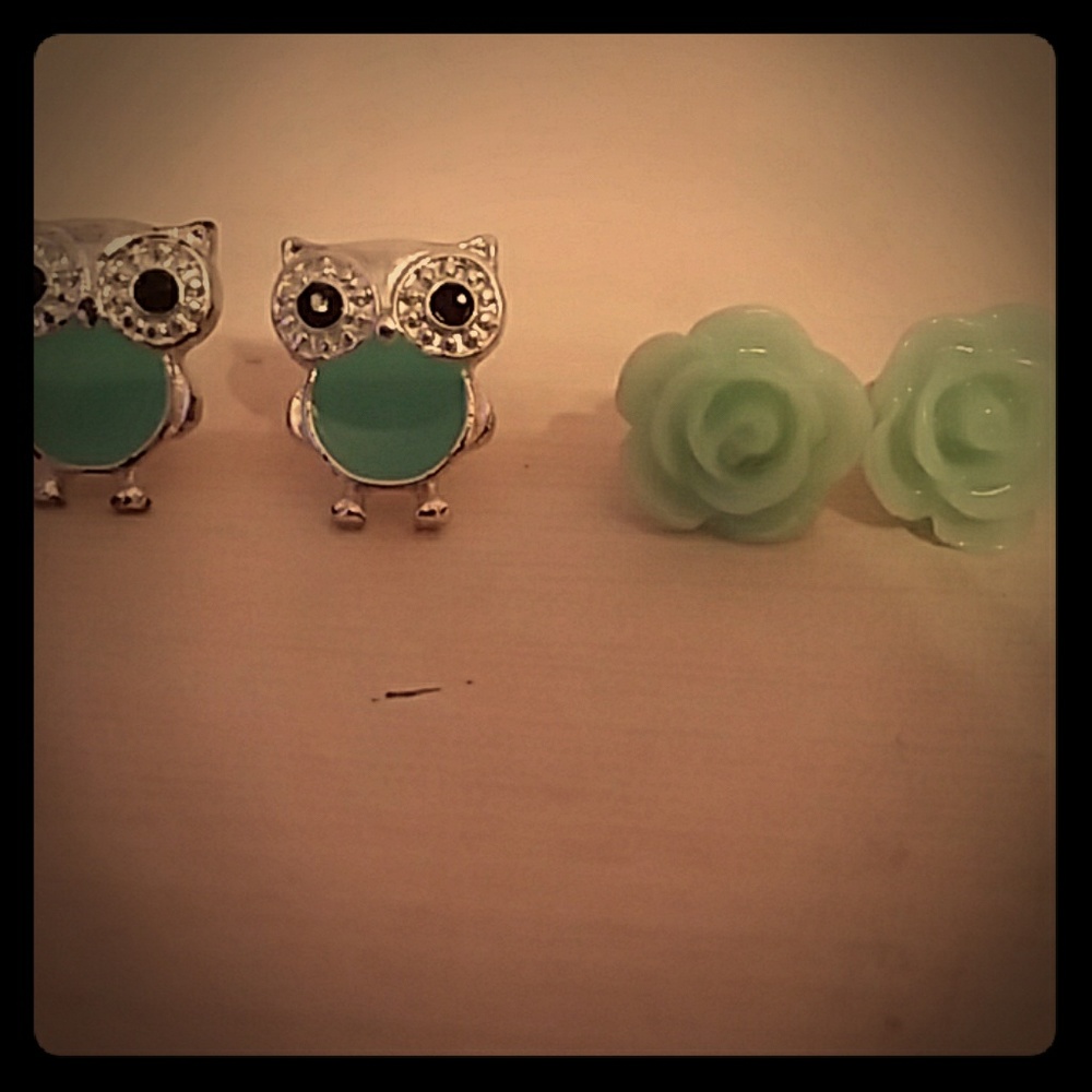 Owl/Flower Earrings